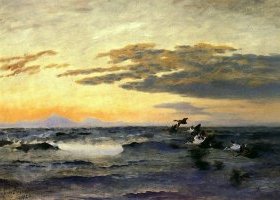 Les canards au soleil