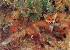 Les Renards