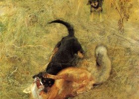Le chien de chasse et le renard