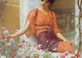 Fleurs d'été